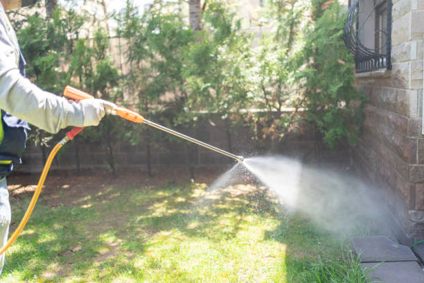 Emergency Pest Control Services in Huntersville, NC